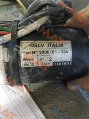 9900181 OSLV Italia